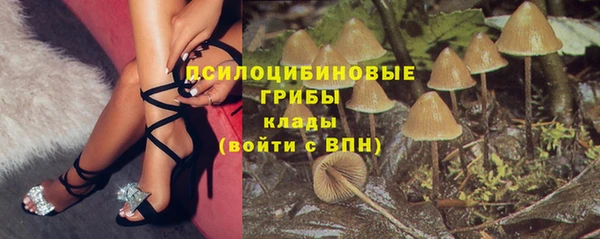 spice Баксан