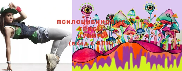 spice Баксан
